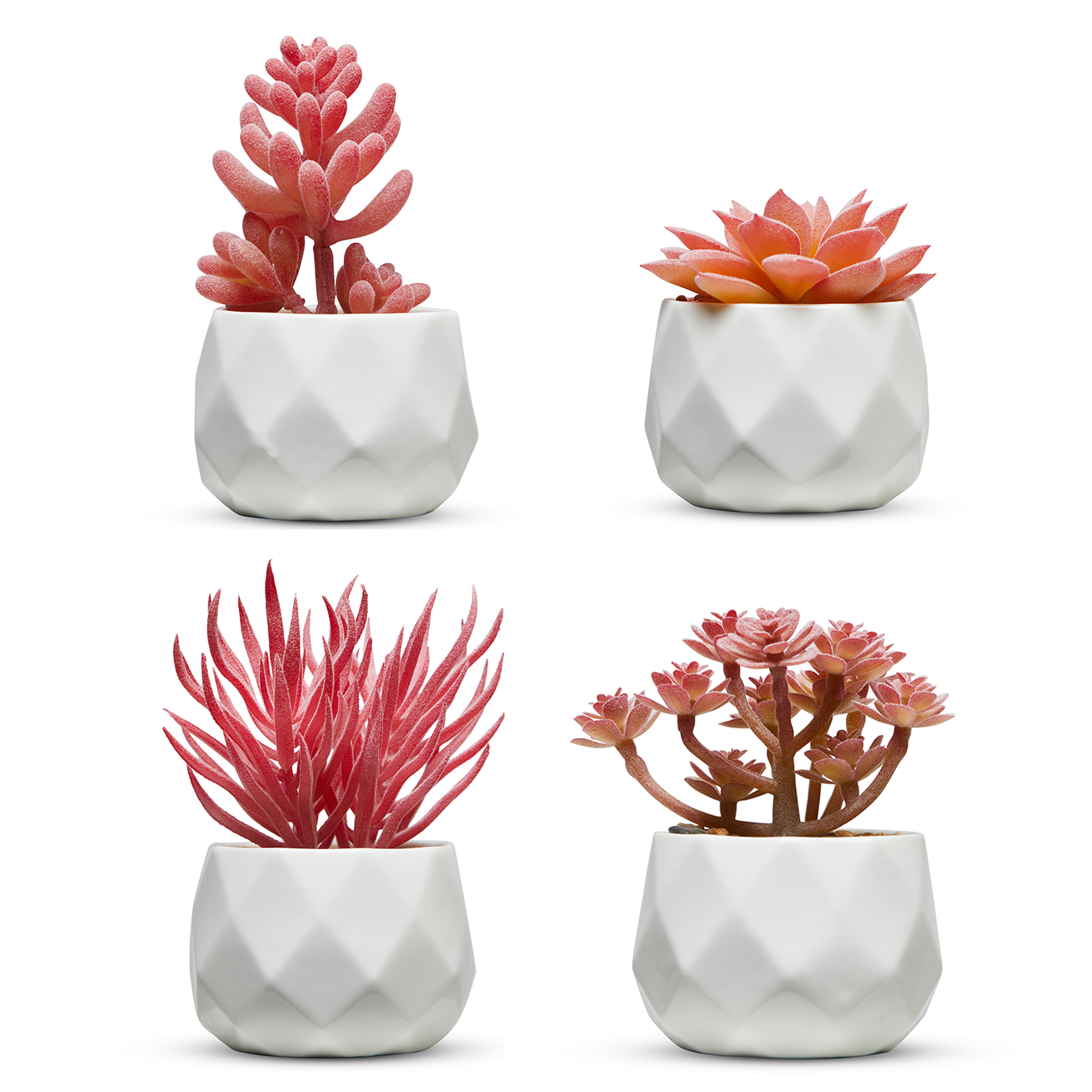 Pink Desk Plants in Ceramic White Pots – Nordik By Design